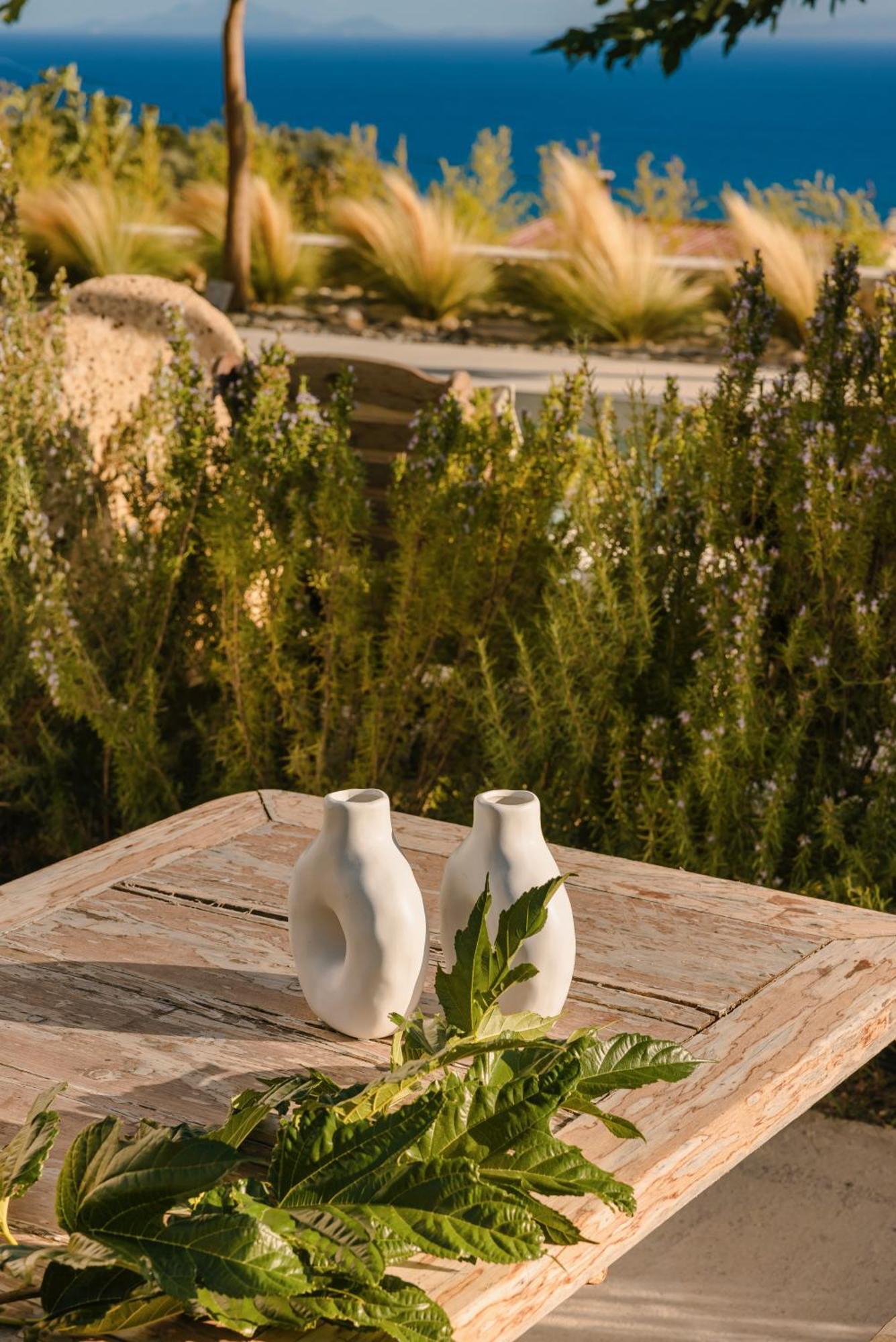 Spathes Suites Kefalonia - Luxury Suites Ratzaklíon Buitenkant foto