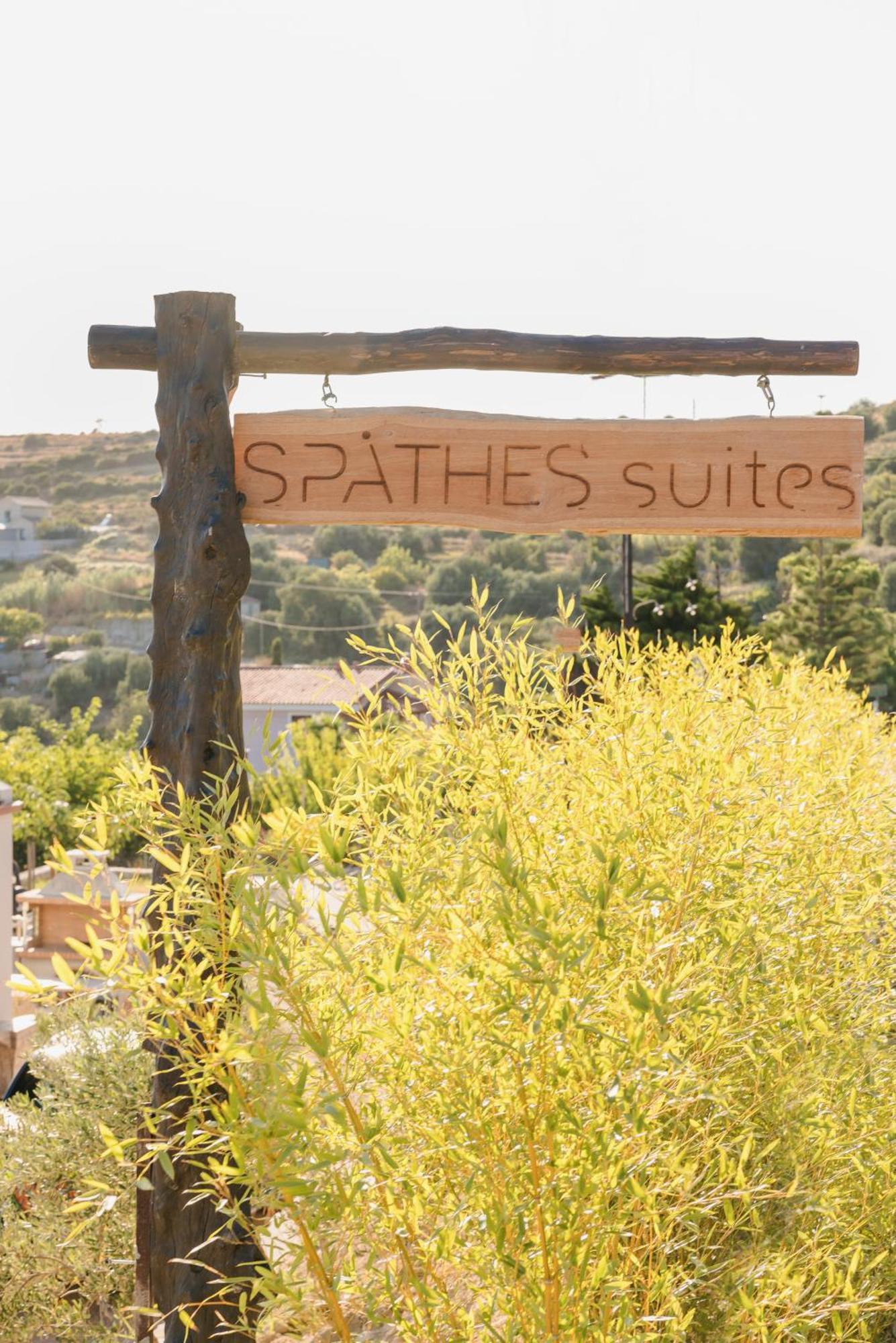 Spathes Suites Kefalonia - Luxury Suites Ratzaklíon Buitenkant foto